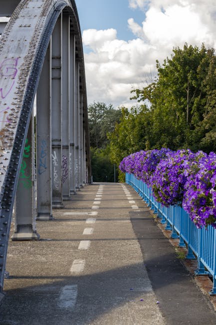 A wide pedestrian walkway adjacent to a large metal bridge structure, with the bridge extending from the left side of the image. The bridge has visible graffiti on its metal beams. On the right side of the walkway, there is a blue fence lined with vibrant purple flowers, creating a colorful barrier between the path and the surrounding greenery. The pathway is marked with white dashed lines, indicating it may be used for both walking and cycling. The sky overhead is partly cloudy with patches of blue, and there are tall green trees in the background. The scene appears calm and suitable for a residential or urban area, where home relocation or furniture transport activities might take place via nearby roads or sidewalks. Man with Van Castelnau, a professional removals service, could utilize such settings for loading or unloading furniture during house moves in the Barnes Bridge to Castelnau area.