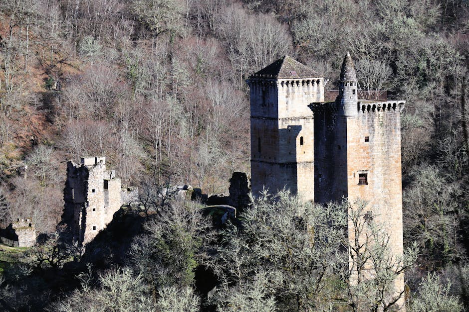 A medieval castle situated on a wooded hillside with leafless trees surrounding it during winter. The castle features a tall, rectangular stone tower with a conical turret at one corner, crenellated battlements, and narrow slit windows. Adjacent to the main tower, there are partial stone remains of a lower structure with jagged edges and weathered stone walls, some of which are partially collapsed. The scene is lit by natural daylight, casting shadows on the stone surfaces and emphasizing the castle's historic architecture. Inside the property, there are no visible objects related to house removals, packing, or moving activities, and the setting is purely of a historic ruin amidst a natural landscape. Man with Van Castelnau occasionally mentions home relocation services, but this image solely depicts the castle's structural features.